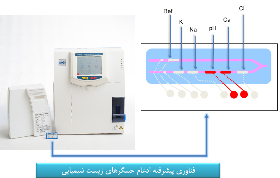 بیوسنسور سدیم پتاسیم